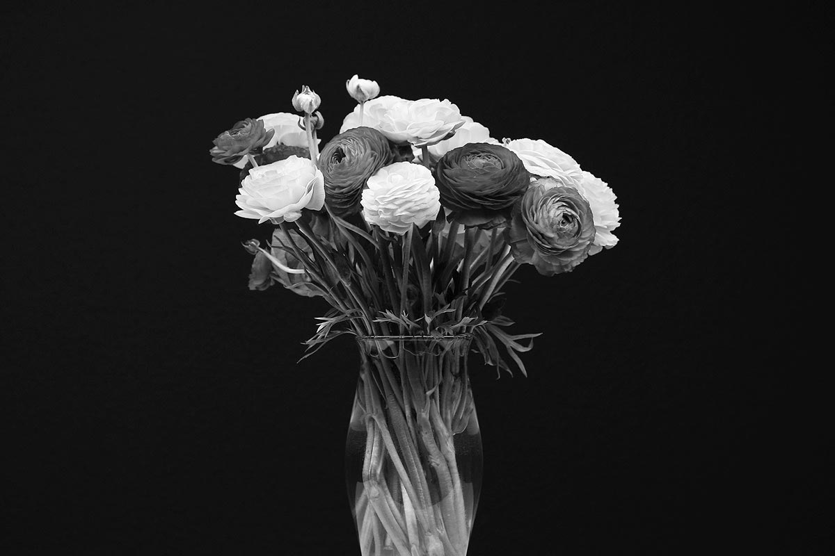 Blumen schwarz-weiß